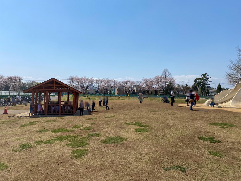 高井戸公園の遊具広場1