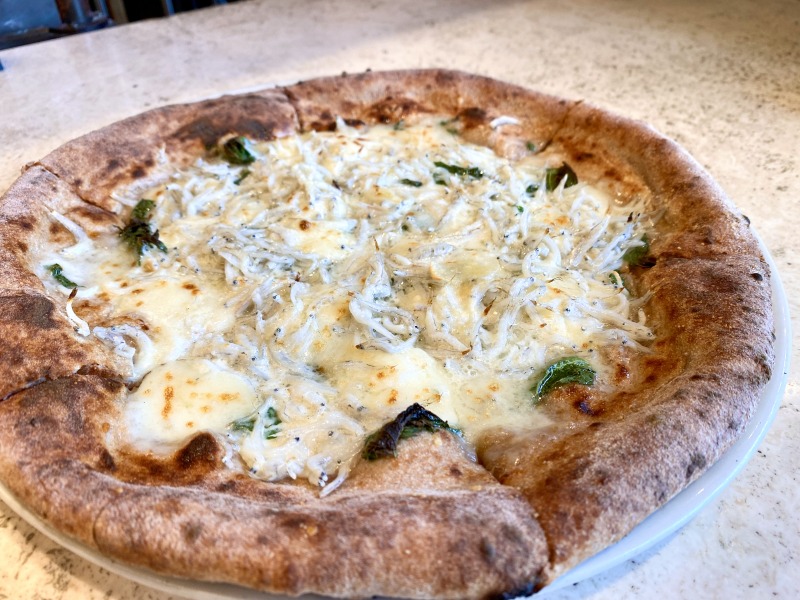 CAMTERAの篠島（アップ）