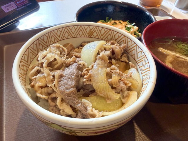 すき家の牛丼ミニアップ