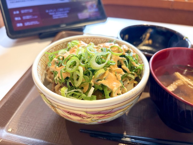すき家の牛丼ミニプラスねぎ明太