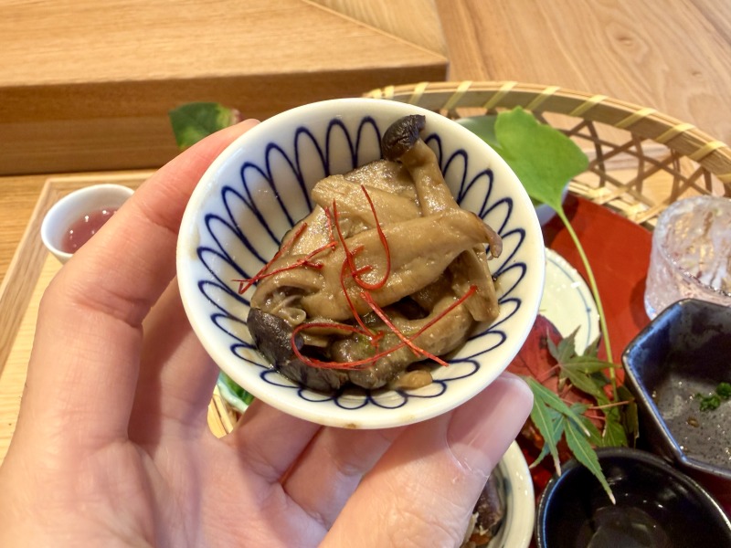 浜田山のごえんだまのきのこ類