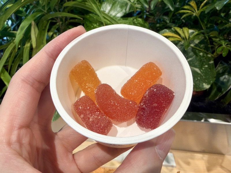 シェアラウンジキラリナ京王吉祥寺のサニーフルーツビタミンC