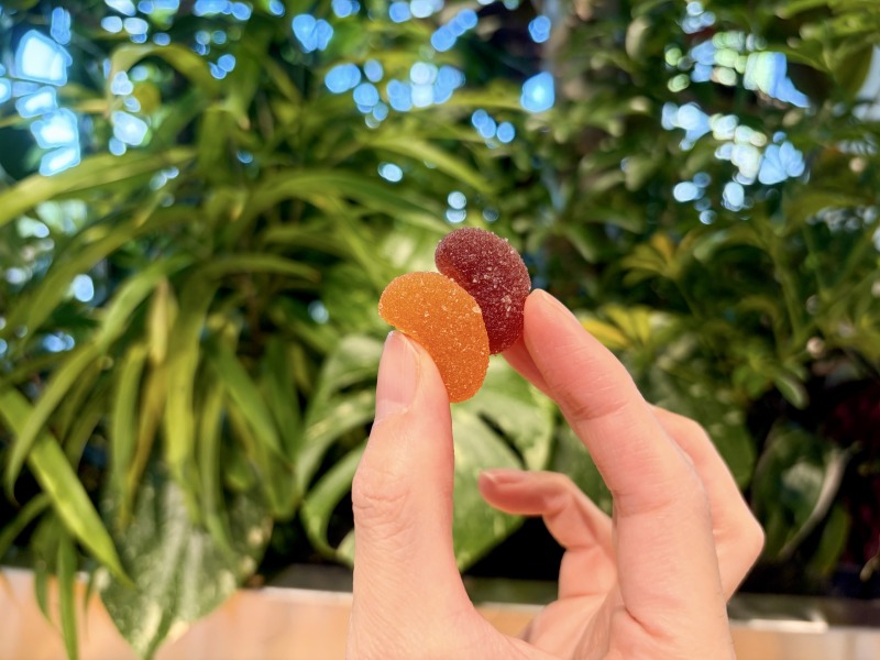 シェアラウンジキラリナ京王吉祥寺のサニーフルーツビタミンCを食べるところ