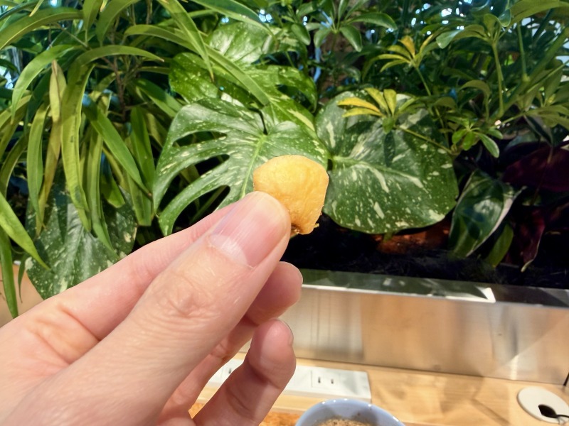 シェアラウンジキラリナ京王吉祥寺のジャイアントコーンを食べるところ