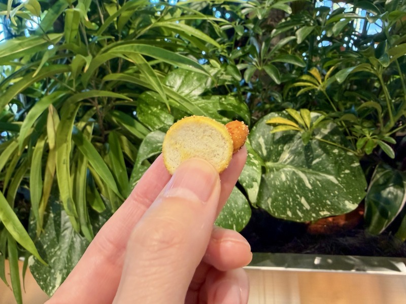 シェアラウンジキラリナ京王吉祥寺のバーミックスハニーマスタードを食べるところ