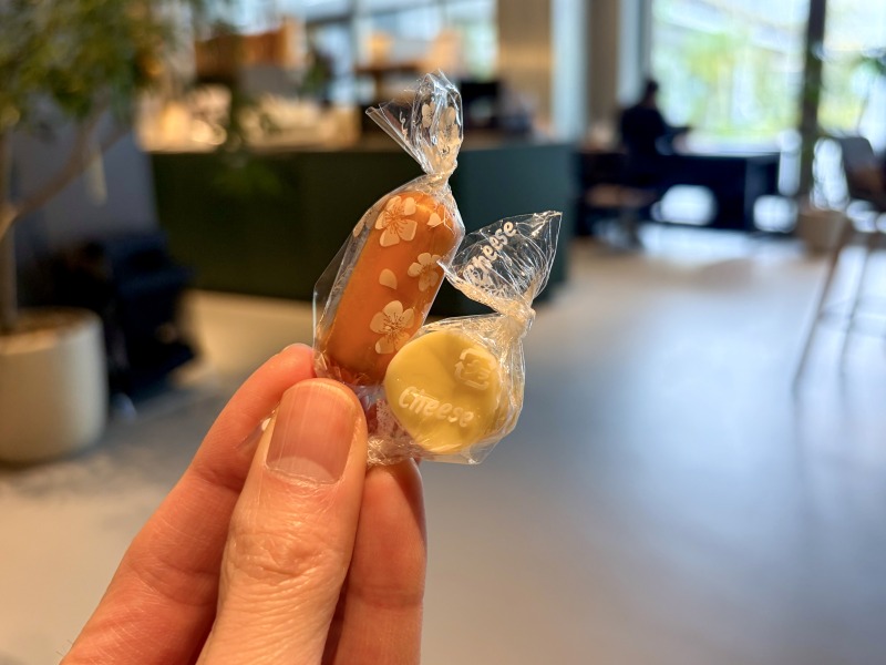 シェアラウンジフォレストスクエア仙川のチーズ2種を食べるところ