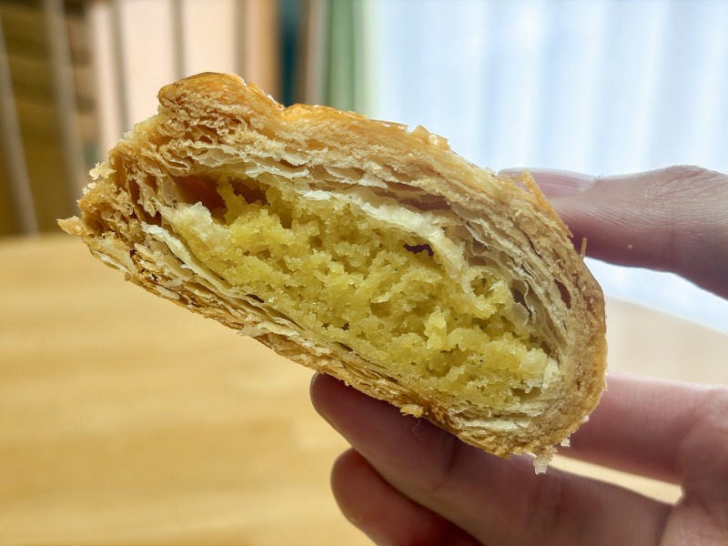 永福 岩さきのショーソンの断面