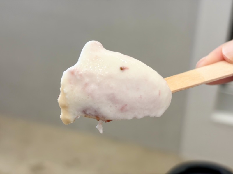 浜田山のGELATERIA FAROのマスカルポーネイチゴを食べるところ