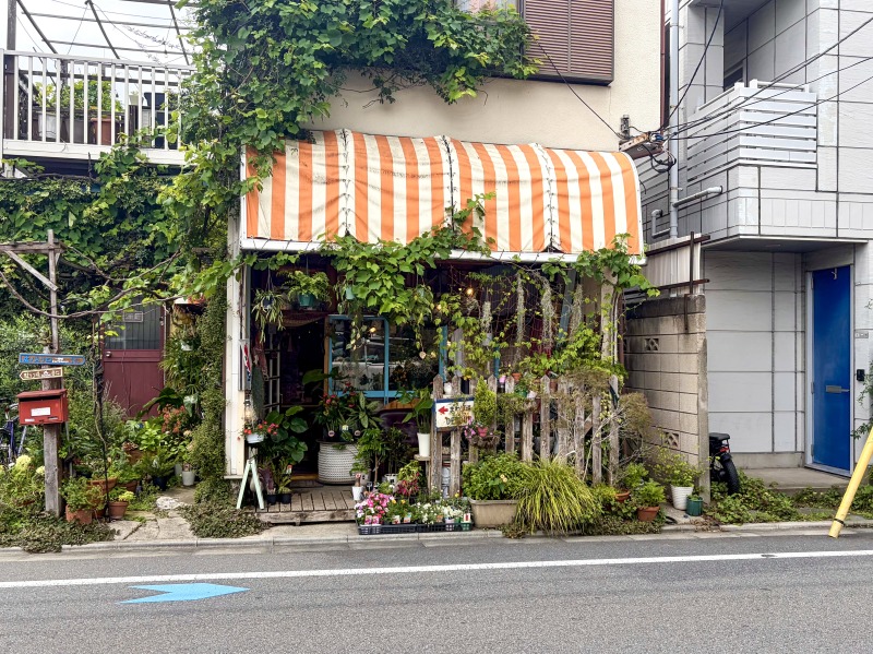 高井戸の花ト喫茶ネコノコバンの外観