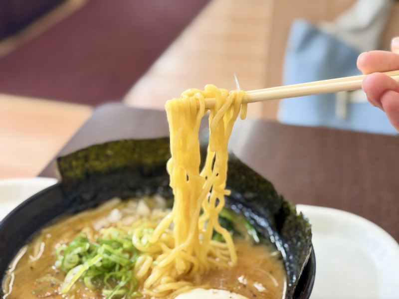 ピッコリーの家系豚骨醤油ラーメンの麺